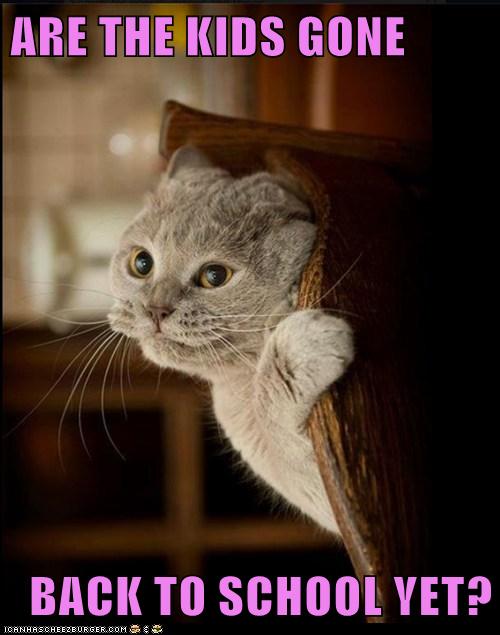 ARE THE KIDS GONE - Lolcats - lol | cat memes | funny cats ...