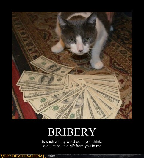 cat-gangsta-mob-money-6551601152