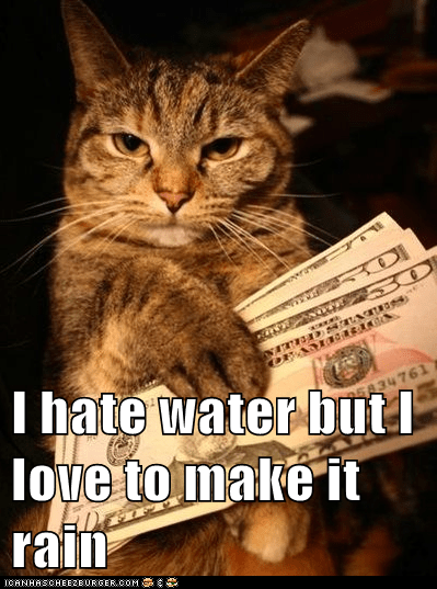 I hate water - Lolcats - lol | cat memes | funny cats | funny cat