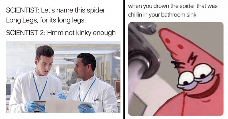 Daddy long legs memes