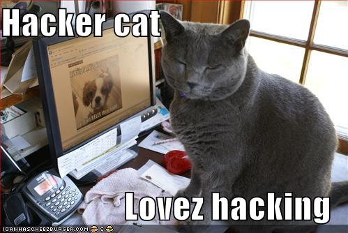 Hacker Cat Lovez Hacking Cheezburger Funny Memes Funny Pictures - hacker cat lovez hacking roblox