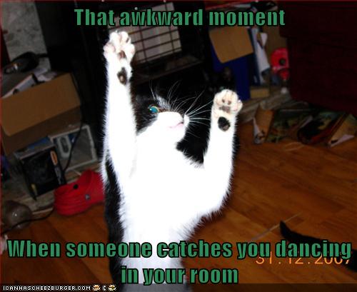 That awkward moment - Lolcats - lol | cat memes | funny cats | funny ...