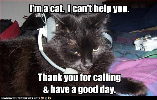 Call center rejection - Lolcats - lol | cat memes | funny cats | funny