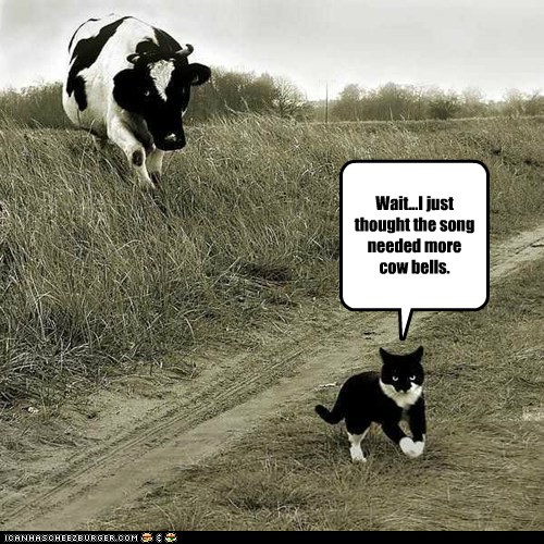 Animal Capshunz - cow - Funny animal pictures with captions | Animal