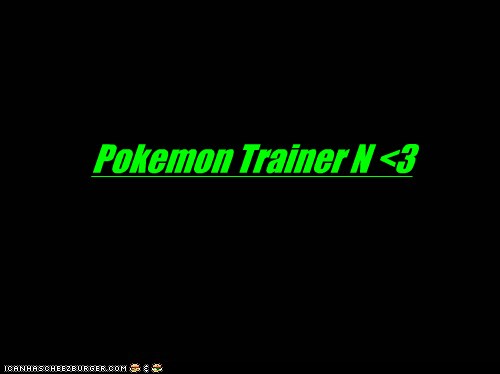 trainer n 3