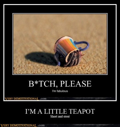 I'M A LITTLE TEAPOT Very Demotivational Demotivational Posters