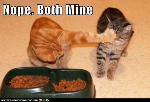 Nope. Both Mine - Lolcats - lol | cat memes | funny cats | funny cat