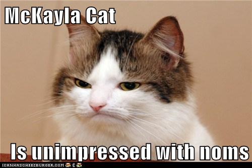 Lolcats - Memes - Page 3 - LOL at Funny Cat Memes - Funny cat pictures ...