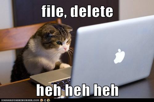 file, delete heh heh heh Lolcats lol cat memes