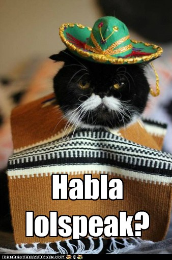 funny mexican pictures with captions