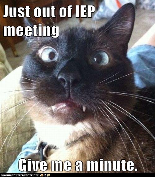 Just out of IEP meeting Give me a minute. - Lolcats - lol | cat memes