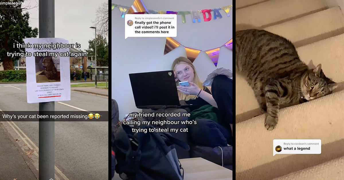Crazy Karen Puts Up Missing Cat Signs to Try and Steal Her Neighbor’s Cat, Neighbor Finds the Signs and Claps Back