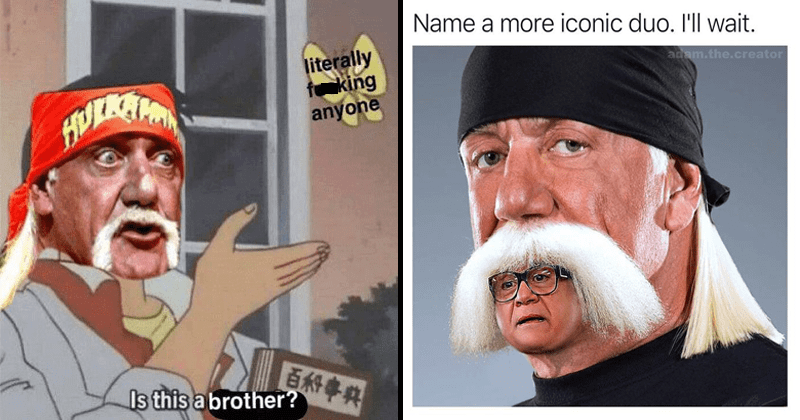 hulk hogan meme - gwindtech.com.