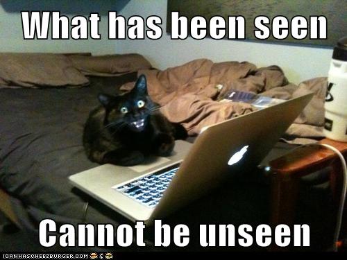 What has been seen - Lolcats - lol | cat memes | funny cats | funny cat ...