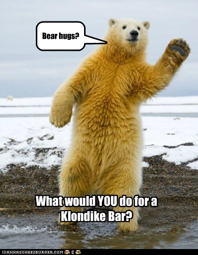 I Can Has Cheezburger? - polar bear - Page 8 - Funny Animals Online ...