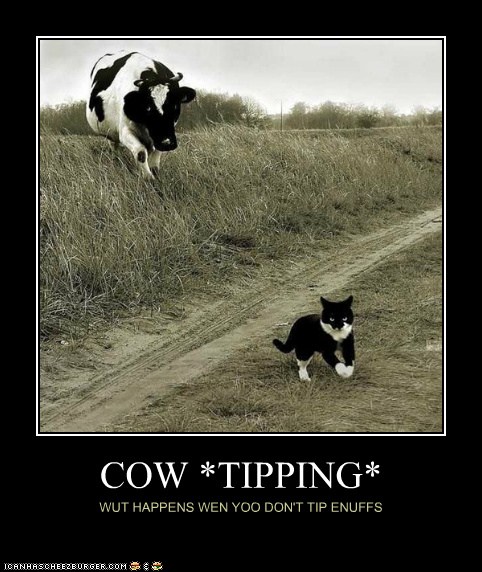 Animal Capshunz - cow tipping - Funny animal pictures with captions