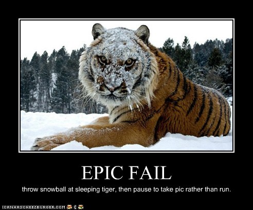 epic fails animals