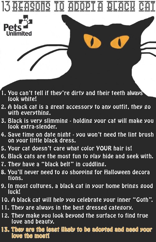 13 Reasons to Adopt a Black Cat I Can Has Cheezburger?