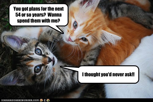 Happy Anniversary, Mom and Dad! - Lolcats - lol | cat ...