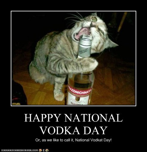 i-can-has-cheezburger-national-vodka-day-funny-animals-online