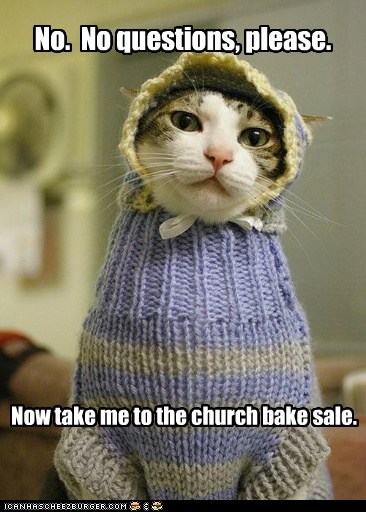 Felicia Is Making Demands. Again. - Lolcats - lol | cat memes | funny ...