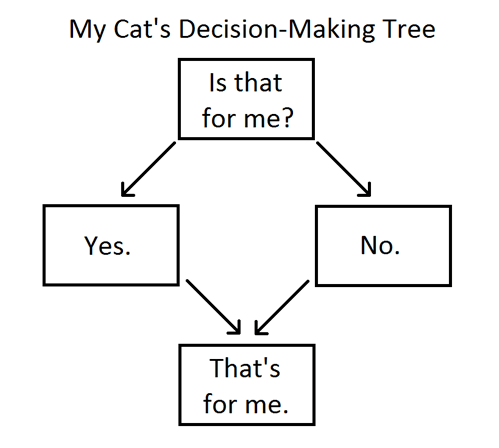 My Cat S Decision Making Tree I Can Has Cheezburger