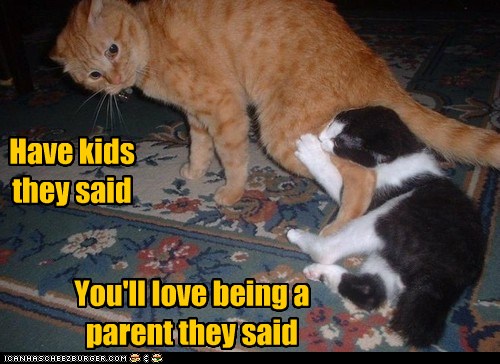 Not Everyone Should Have Kids - Lolcats - lol | cat memes | funny cats