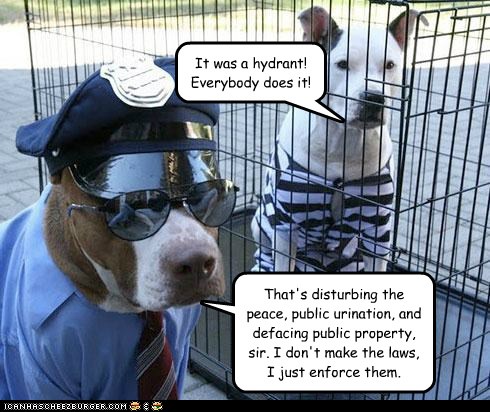 I Has A Hotdog - pitbull - Page 3 - Funny Dog Pictures | Dog Memes ...
