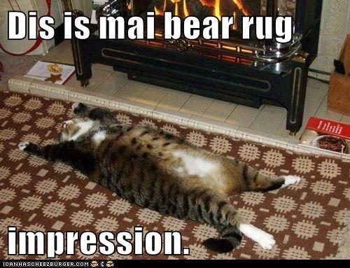 Mai bear rug impression. - Lolcats - lol | cat memes | funny cats ...
