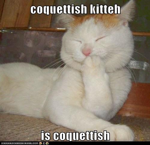 coquettish kitteh - Lolcats - lol | cat memes | funny cats | funny cat ...