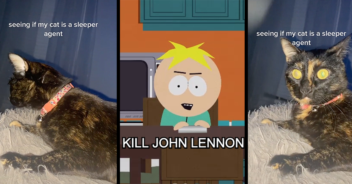 Can Small Dogs Kill Cats