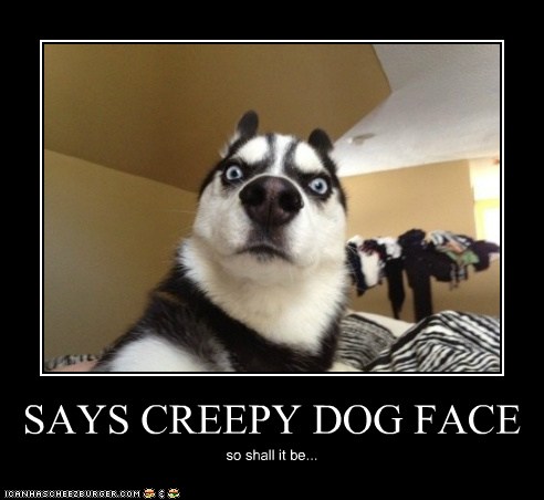 SAYS CREEPY DOG FACE - Cheezburger - Funny Memes  Funny Pictures