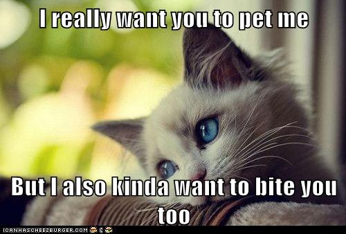 I Really Want You To Pet Me But I Also Kinda Want To Bite You Too Memebase Funny Memes