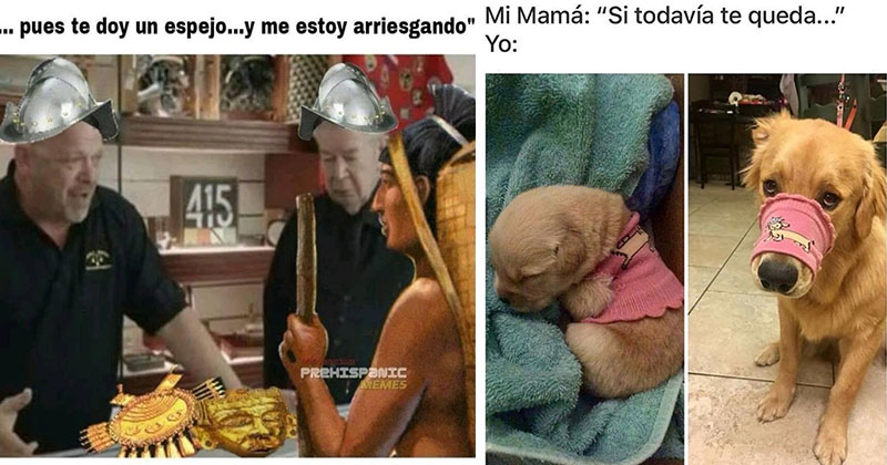 animo perro meme