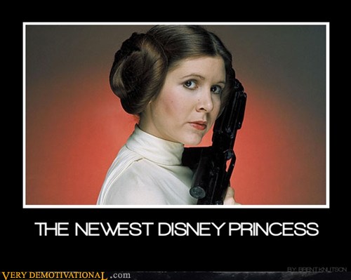 THE NEWEST DISNEY PRINCESS - Very Demotivational - Demotivational ...