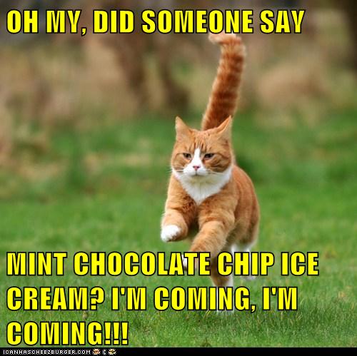OH MY, DID SOMEONE SAY MINT CHOCOLATE CHIP ICE CREAM? I'M ...