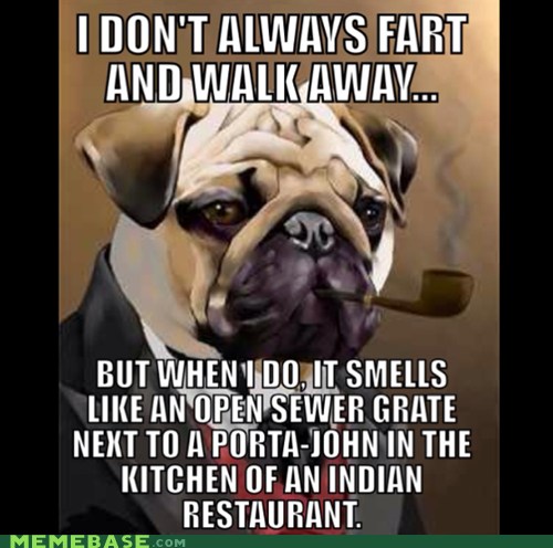 what dogs fart the most