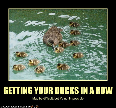 GETTING YOUR DUCKS IN A ROW - Animal Capshunz - Funny Animals | Animal