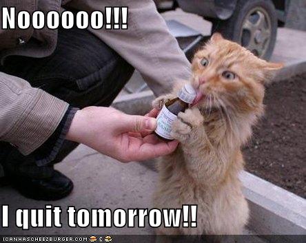 Noooooo!!! I quit tomorrow!! - Cheezburger - Funny Memes | Funny Pictures