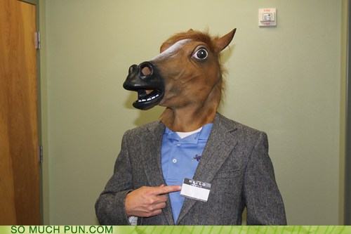 puns-a-horse-with-no-name-funny-puns-pun-pictures-cheezburger