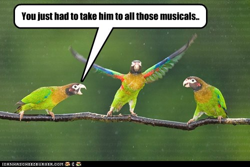 dancing-parrots-annoying-musicals-singing-angry-6755092480