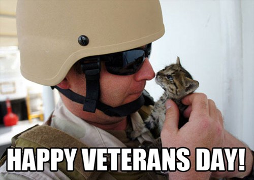 Free clip art veterans day 2024