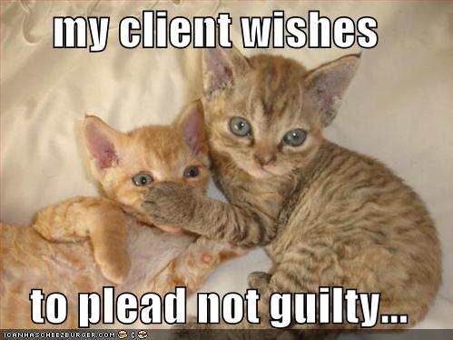 My Client Wishes To Plead Not Guilty Cheezburger Funny Memes Funny Pictures