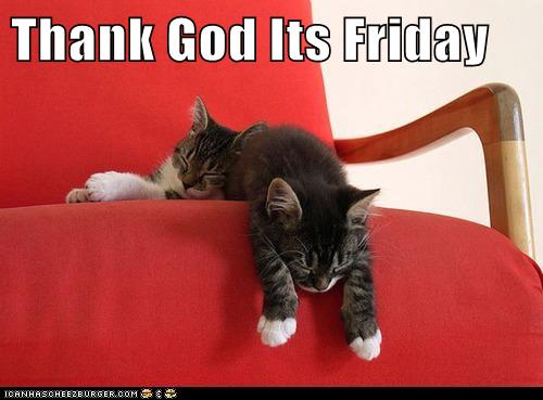 Thank God Its Friday - Cheezburger - Funny Memes | Funny ...