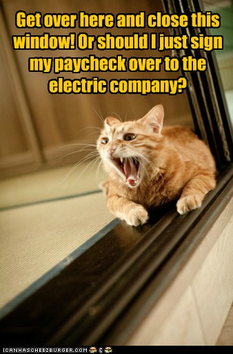 Cranky Cat channels my dad. - Lolcats - lol | cat memes ...