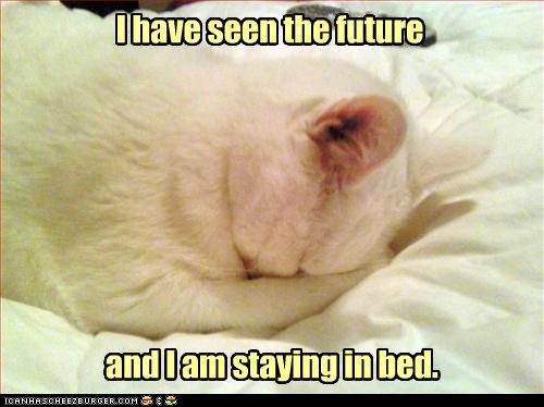 psychic cat is appalled - Lolcats - lol | cat memes | funny cats ...