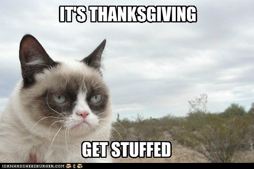 A Turkey Day message from Grumpy Cat - Lolcats - lol | cat ...