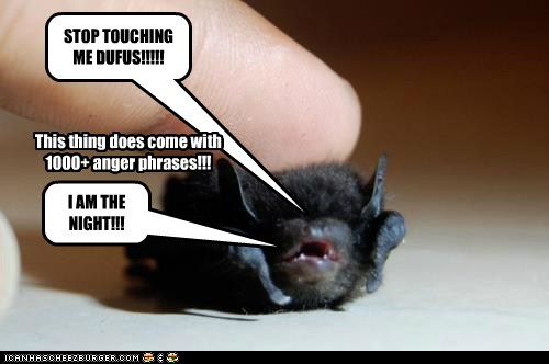 I Can Has Cheezburger? - bats - Page 6 - Funny Animals Online - Cheezburger