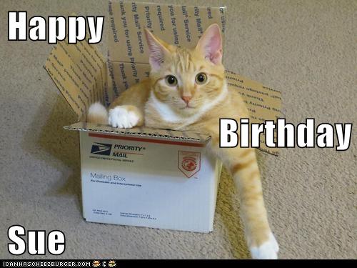 Happy Birthday Sue Lolcats Lol Cat Memes Funny Cats