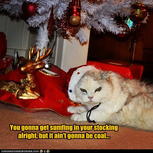 Lolcats - stocking - LOL at Funny Cat Memes - Funny cat pictures with ...